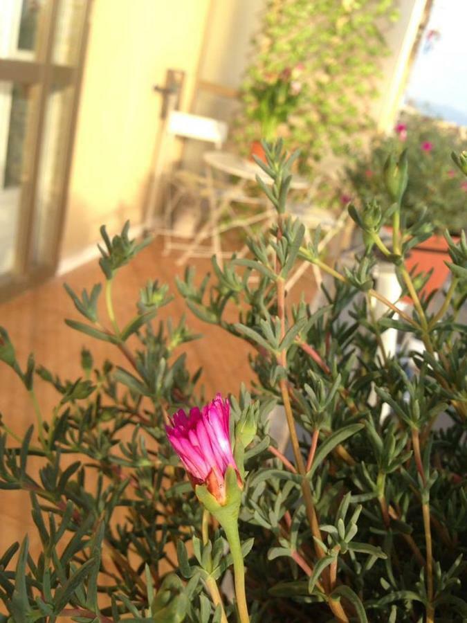 Leucosia Bed & Breakfast 살레르노 외부 사진